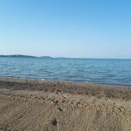 Evi * Βουρλά