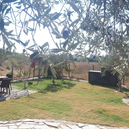 Βίλα Evi Βουρλά